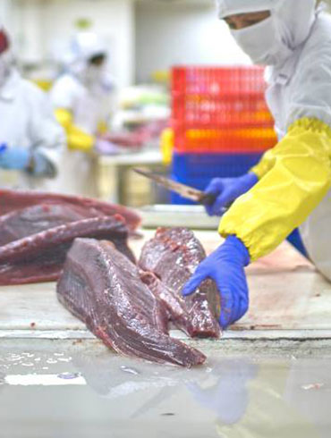 company fisheries and marine fish processing